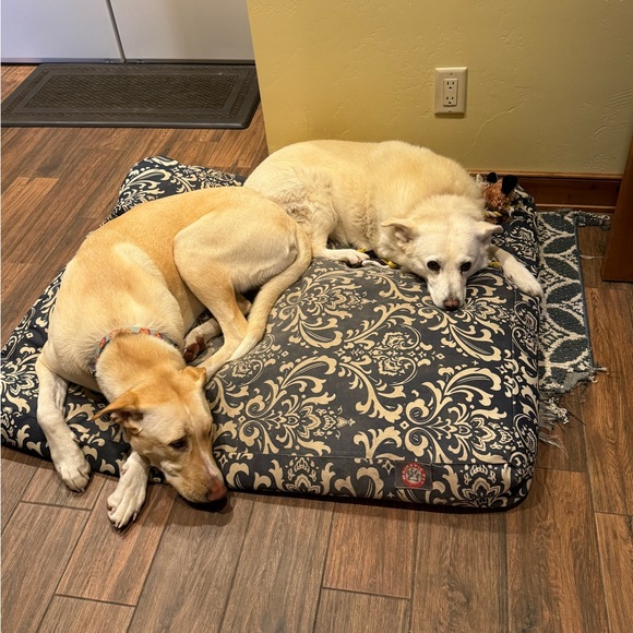 Welcome to Rebecca’s Closet!  💐 - Picture 3 of 7